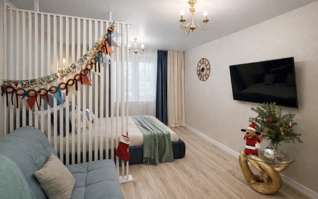 Квартира в историческом центре, Собинова 50к2