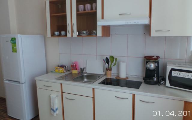 Apartment Stanislava