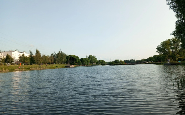 Uyutnaya Studiya Flat