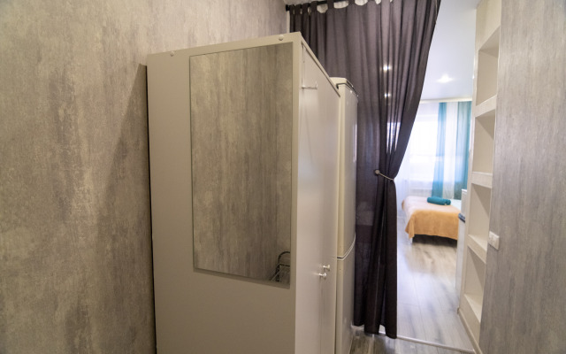 Stylish Studio in Novostroe Apartments