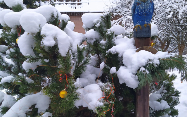 Гостевой дом Бугрово