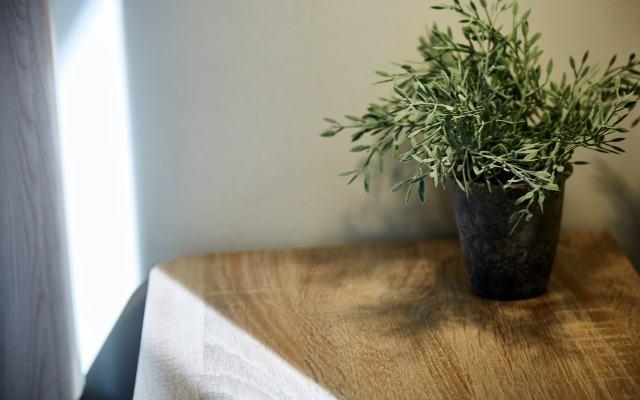 Апартаменты DD.APARTS.VBG : WOW-Студия у Библиотеки ААЛТО