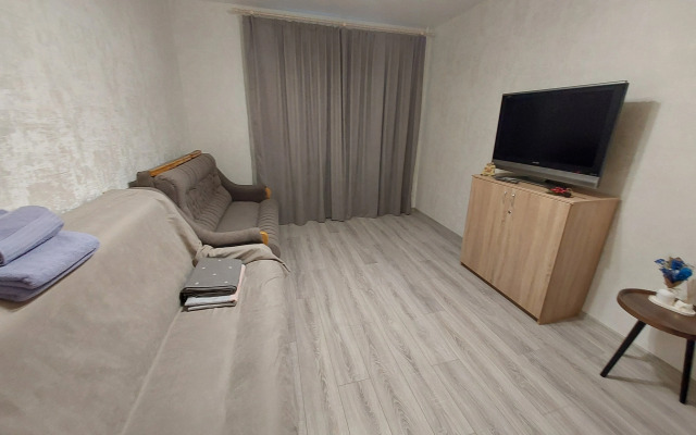 VgostiVpeterhof Flat