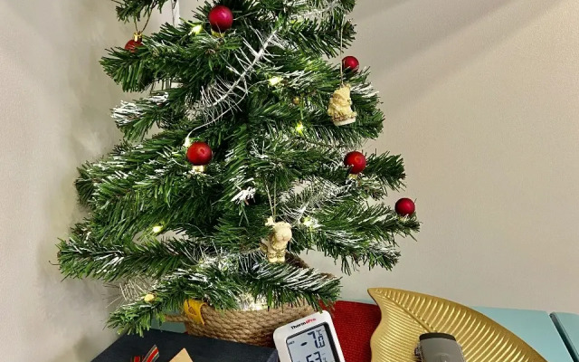 Апартаменты на Марксистской