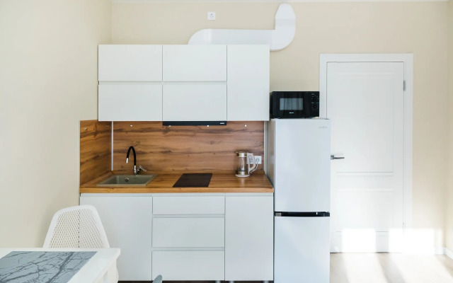 319 svetlye v ZhK Letniy dlya semi Apartments