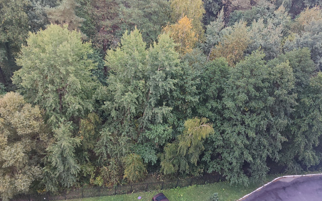 Квартира однушка как трёшка