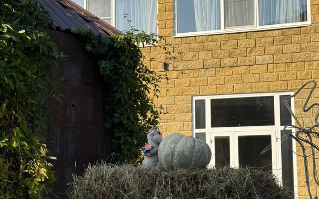 Гостевой дом Дом Кролика от Травел Хотелс Антураж