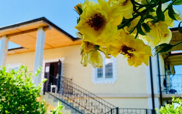 Divny Sad Guest House