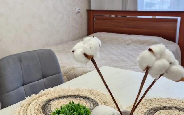 Квартира Родионова 202/2-20