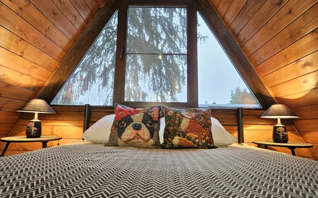 Частный дом темный А-фрейм