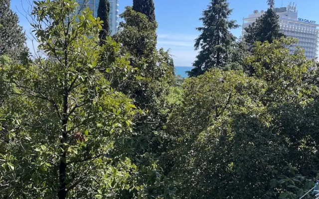 Svetlana-Tsentr u morya s vidom na sad magnoliy Apartaments