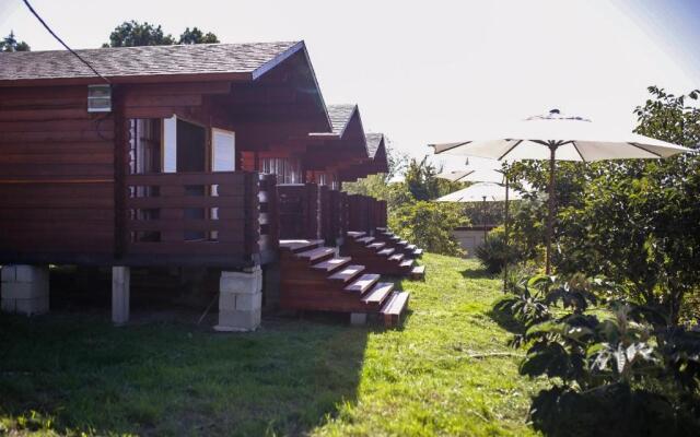 Apsar Village Guest House