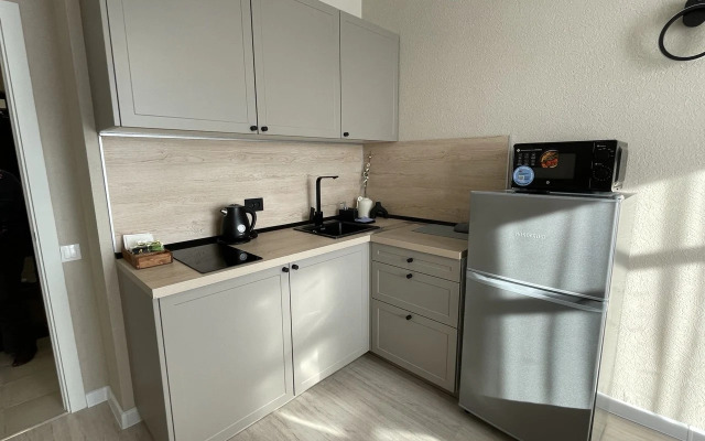 Studiya Dzhapandi v ZhK Serdtse Yaroslavlya Flat