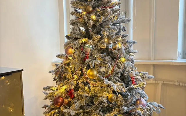 Квартира с эркером