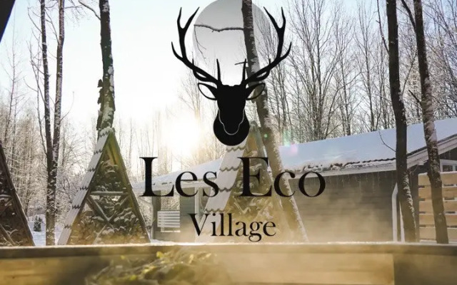 Shale Lesnoy Guest house