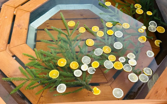 Гостевой дом Стрековец