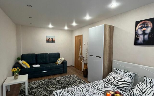 Апартаменты 1-комнатные с видом на Волгу (Бухта)