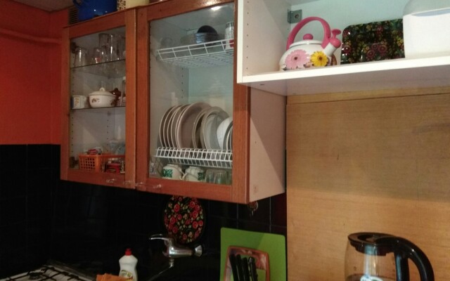 U Piskaryovki Flat