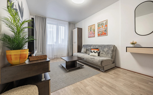 Квартира в Жюль Верне Квартиры у Петровны