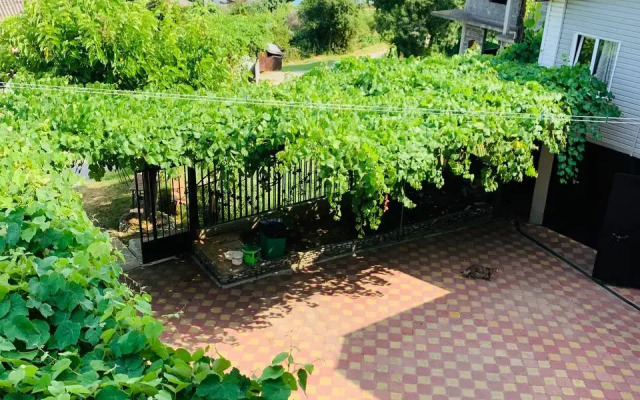 Obereg Guest house