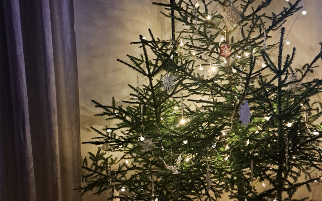 Частный дом Белый дом