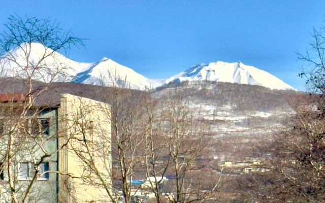 Uyutniye S Vidom Na Vulkany Apartments