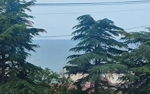 U morya Golubye Dali Flat