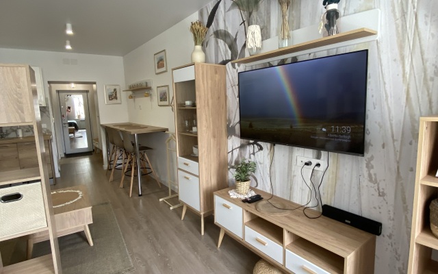 Apartamenty Studiya Skandi S Vidom Na Kreml