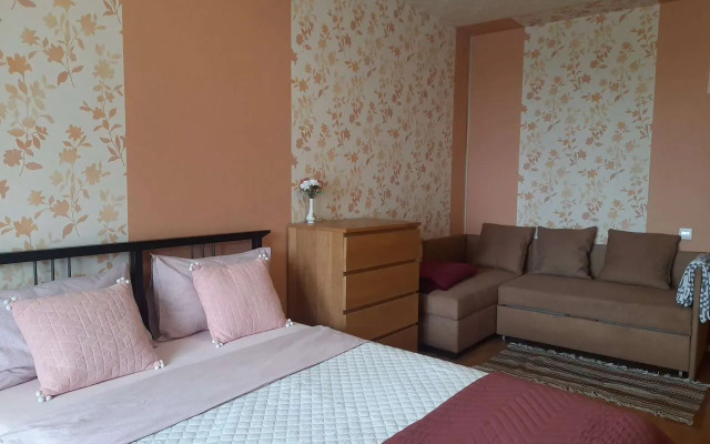 Квартира на Красном Переулке 5к1