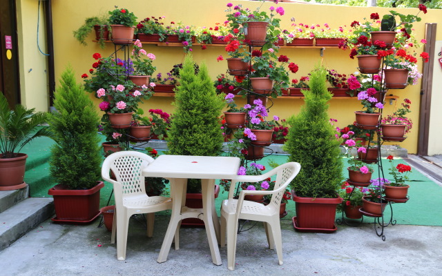 Galina Guest House