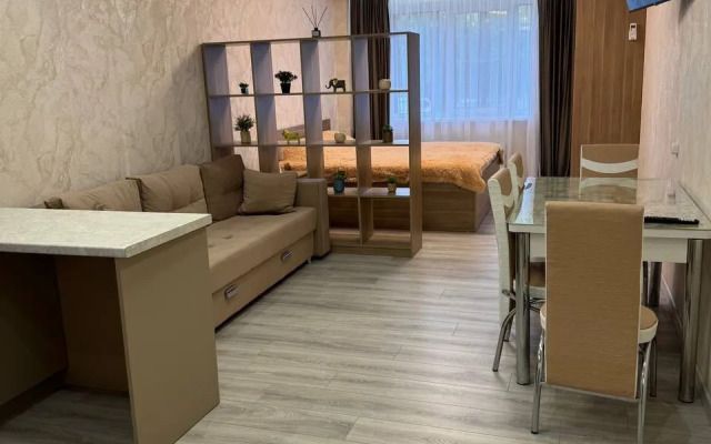 Квартира Однокомнатная в Миниотеле