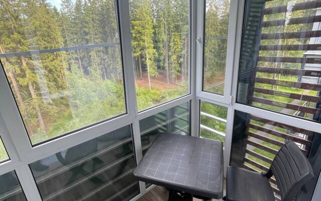 Апартаменты на Софьи Ковалевской 14a