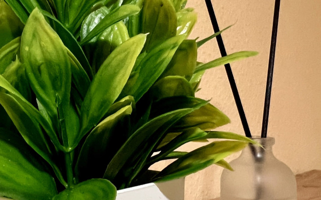 Апартаменты Комфортная студия