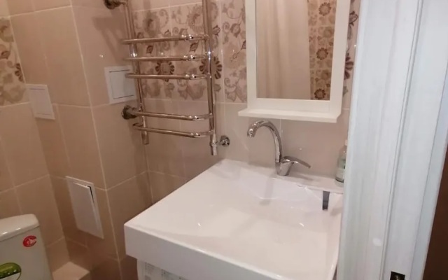 Comfortable Studio Vladimir Apartments