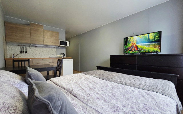 Апартаменты RoomOnDay 000523