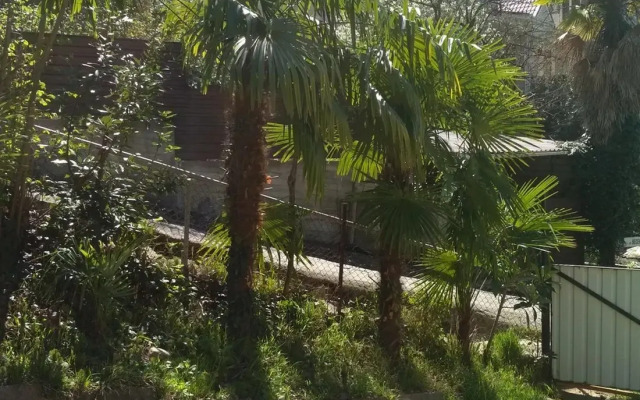 Pod Palmoy Guest House