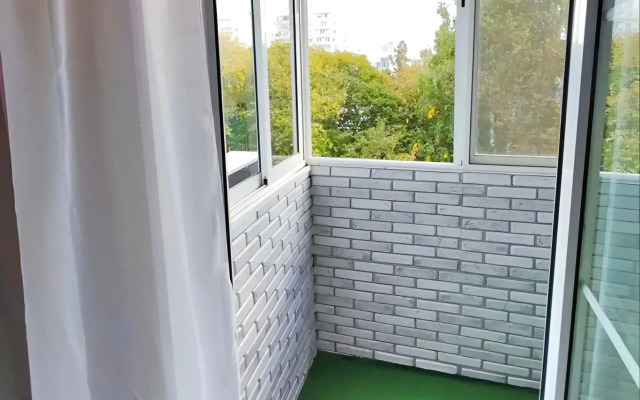 Uyutnaya Svetlaya v Tsentre Flat