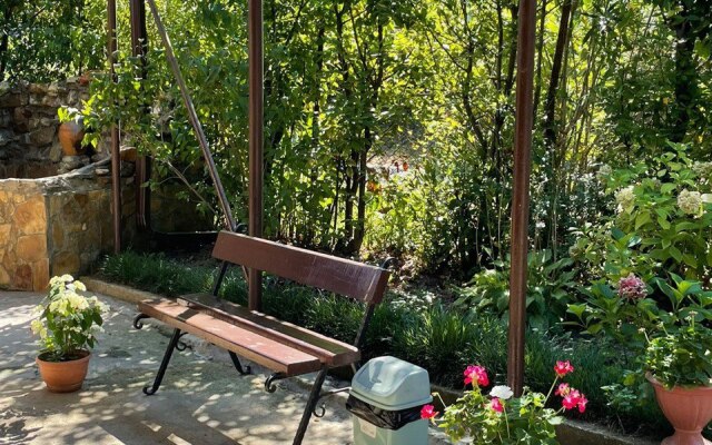 Tikhoye Mesto Linariya Guest house