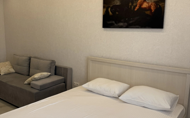 Апартаменты Просторные Однокомнатные в Центре Самары