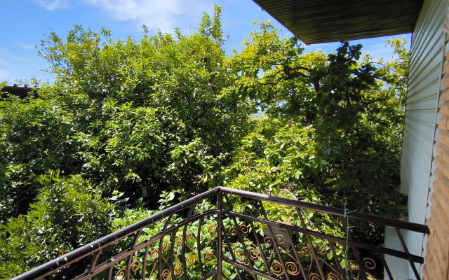 Tsitrus Guest house