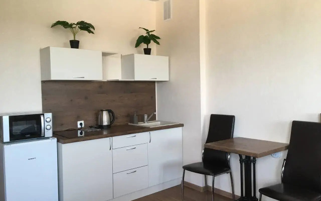 Квартира Уютная Студия на Областной больнице