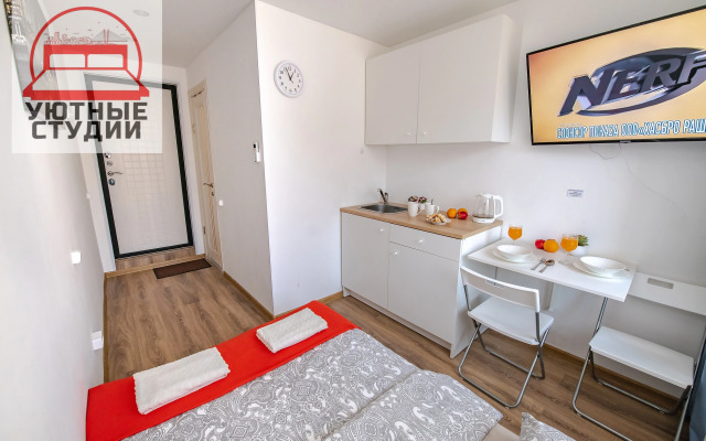 Квартира-студия 2 на Некрасовской