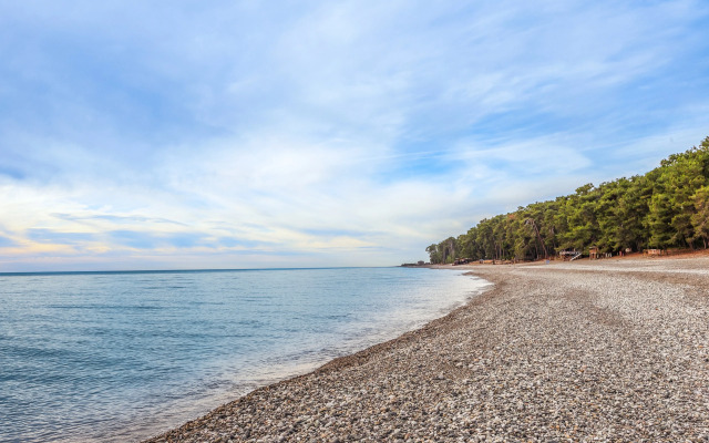 Hotel Eco House Pitiunt Resort