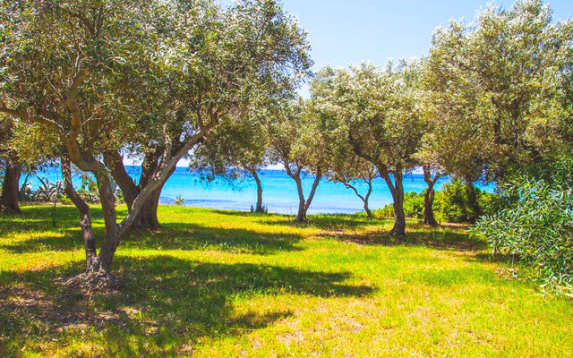 Malt BeachFront Villa