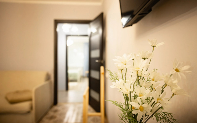 Dvukhkomnatnye v Tikhom Meste v Tsentre Apartments