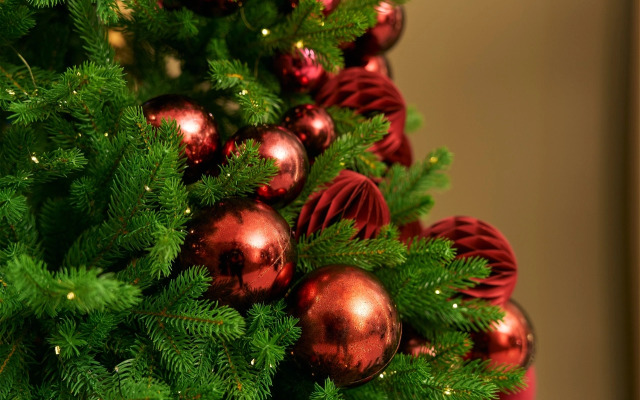 Бутик-Отель Академиа Васильевский