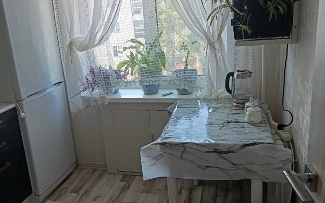 Odnokomnatnaya V Tsentre Goroda Flat