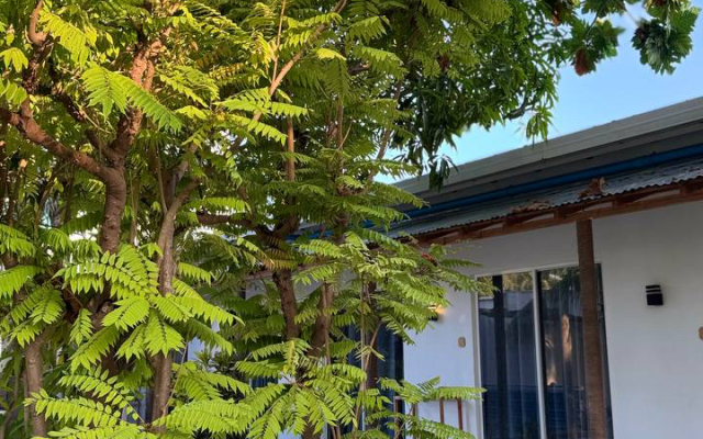 Navaya Dhiffushi Guest house