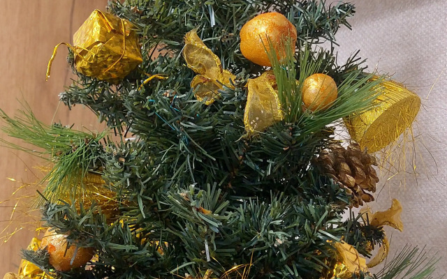 Квартира Уютная квартира-студия с видом на Бугринский мост