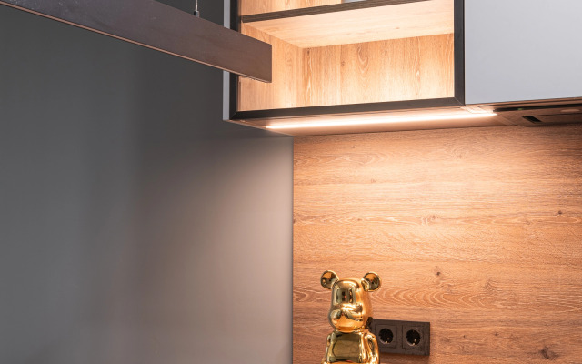 Apartment-Studiya Bulbash Minsk Mir
